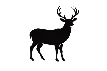 Hill Country Bookkeeping Logo bookkeeping services in the Texas Hill Country